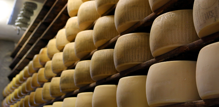 ナチュラルチーズの作り方基礎講座入門