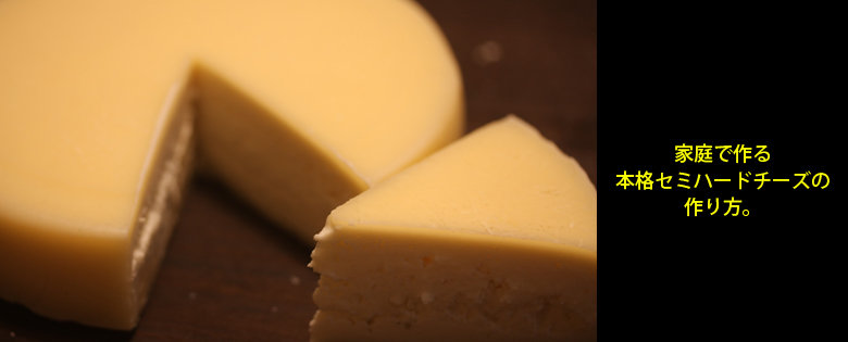 ナチュラルチーズ 自家製牛乳でセミハードチーズの作り方